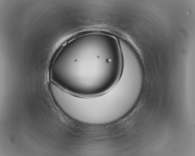 X0000112761320200909031539