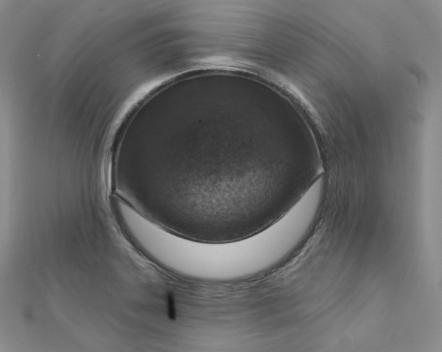 X0000112761323200909031539