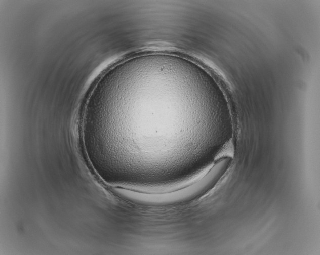X0000112761325200909031539