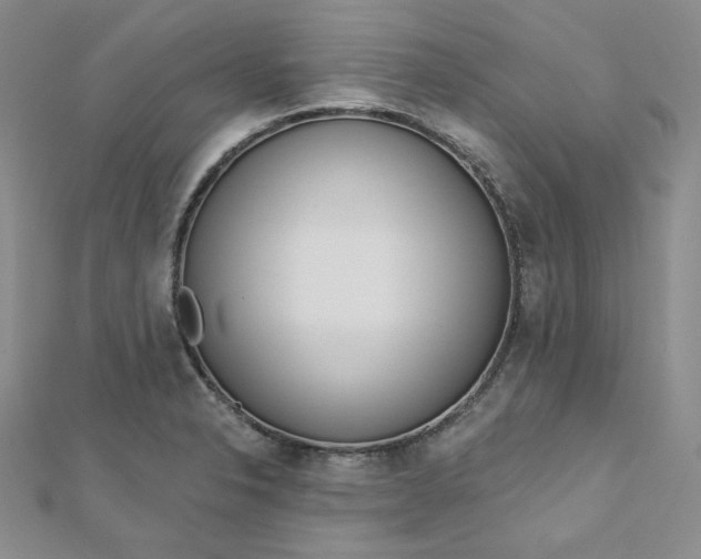 X0000112761326200909031539