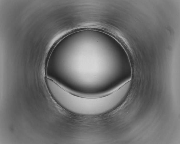 X0000112761328200909031539