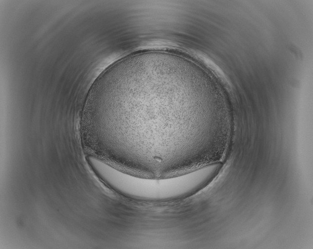 X0000112761329200909031539