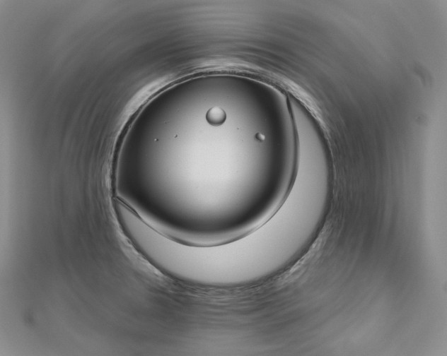 X0000112761330200909031539