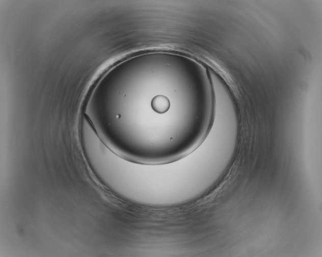 X0000112761332200909031539