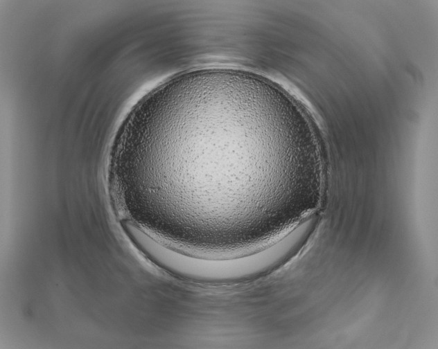 X0000112761333200909031539