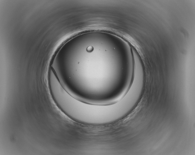 X0000112761334200909031539