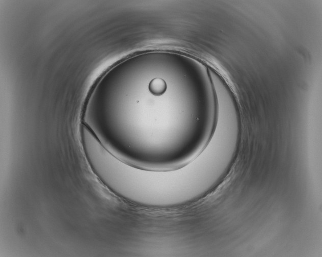 X0000112761336200909031539