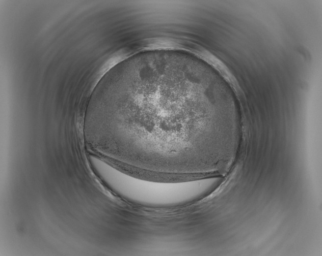 X0000112761337200909031539