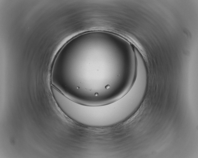 X0000112761340200909031539