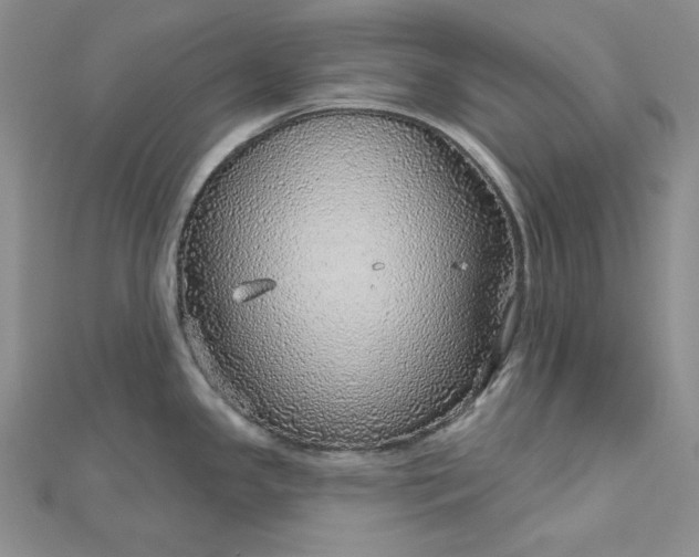 X0000112761341200909031539