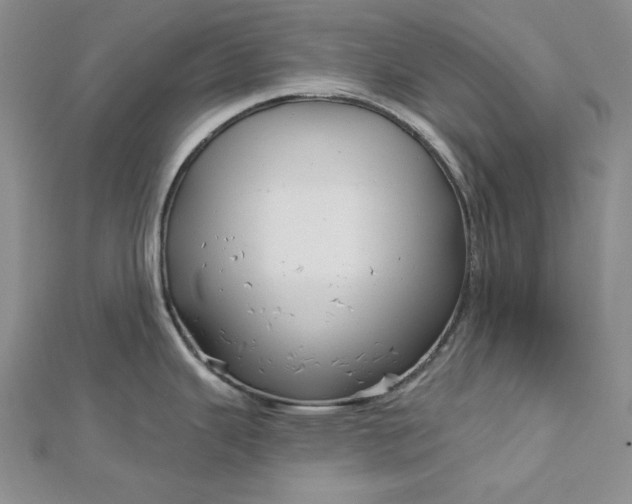 X0000112761343200909031539