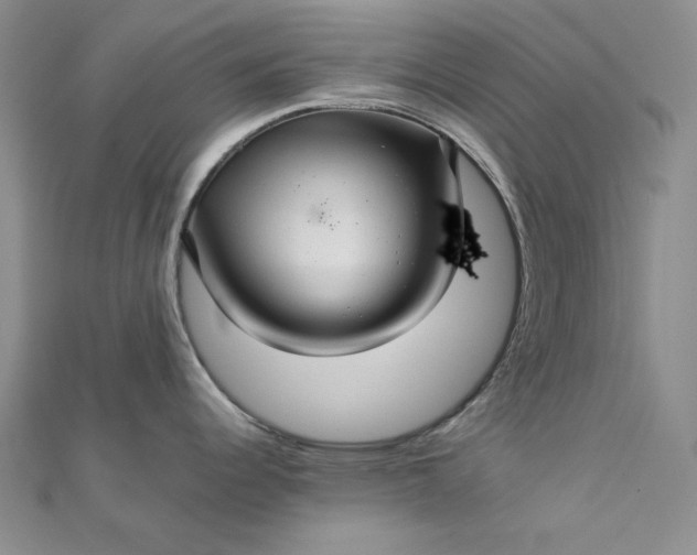 X0000112761344200909031539