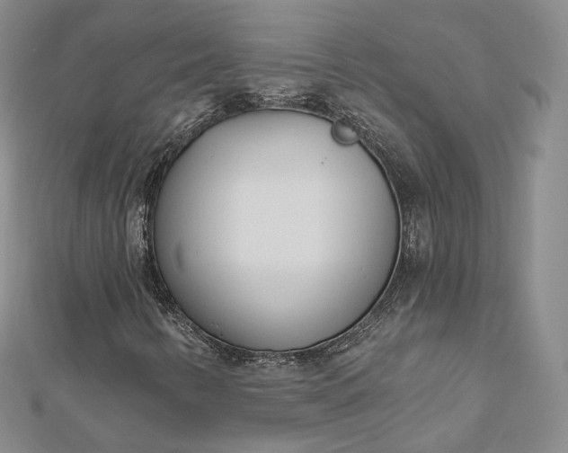 X0000112761346200909031539