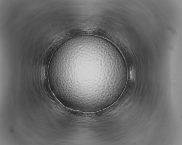 X0000112761347200909031539