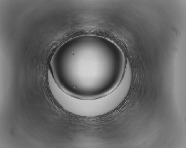 X0000112761349200909031539