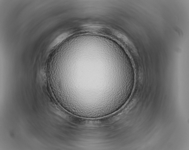 X0000112761354200909031539