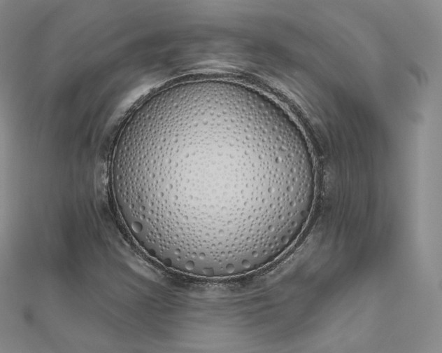 X0000112761355200909031539