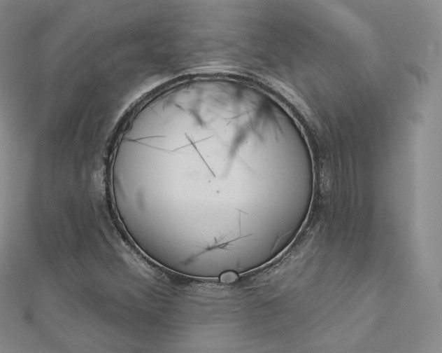 X0000112761356200909031539