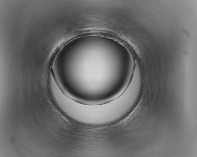X0000112761357200909031539