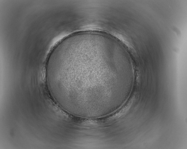 X0000112761358200909031539