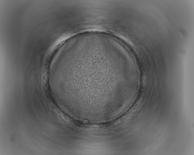 X0000112761359200909031539