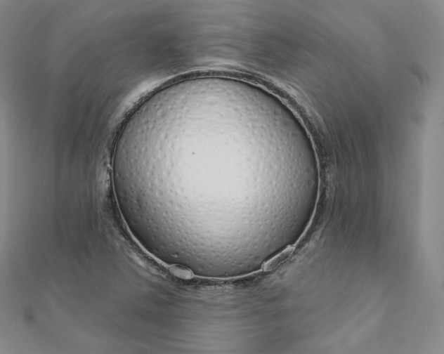 X0000112761363200909031539
