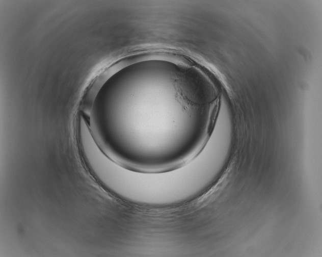 X0000112761365200909031539