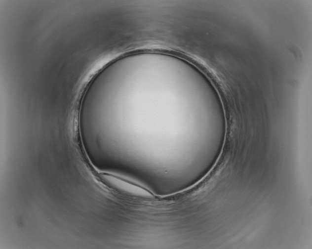 X0000112761367200909031539