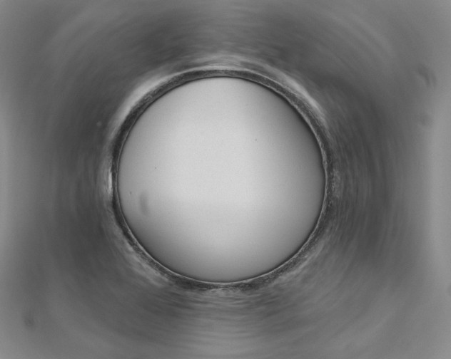 X0000112761368200909031539