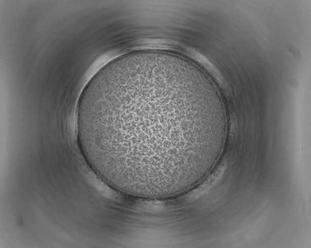 X0000112761370200909031539