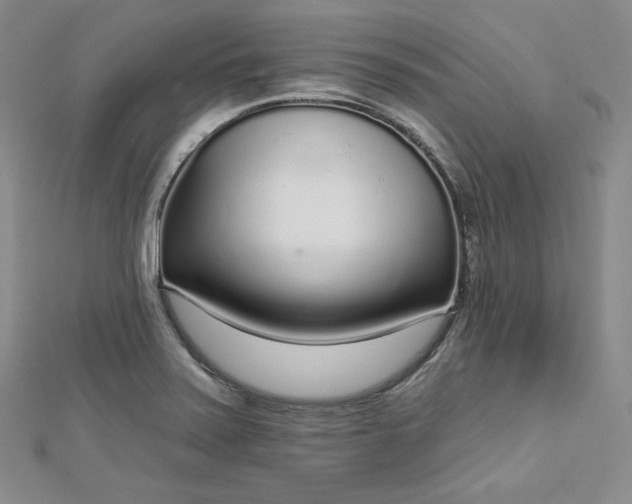 X0000112761371200909031539