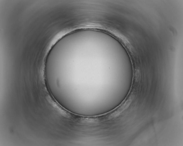 X0000112761374200909031539