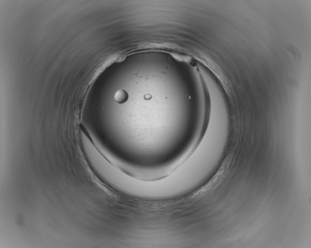 X0000112761377200909031538