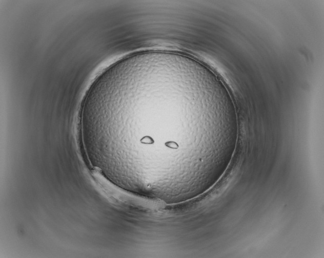 X0000112761379200909031538