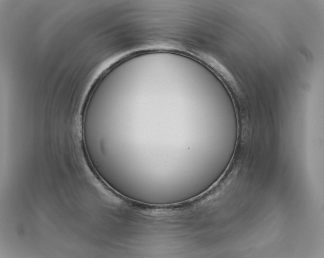X0000112761380200909031538