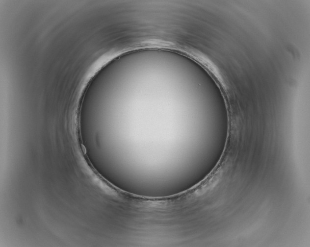 X0000112761381200909031538