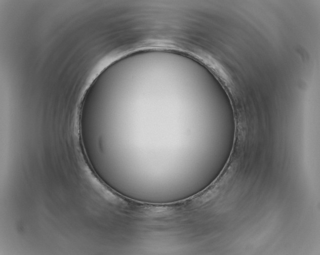 X0000112761382200909031538