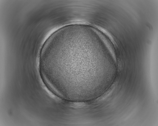 X0000112761383200909031538