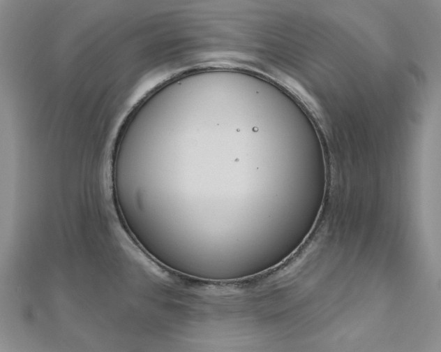 X0000112761384200909031538