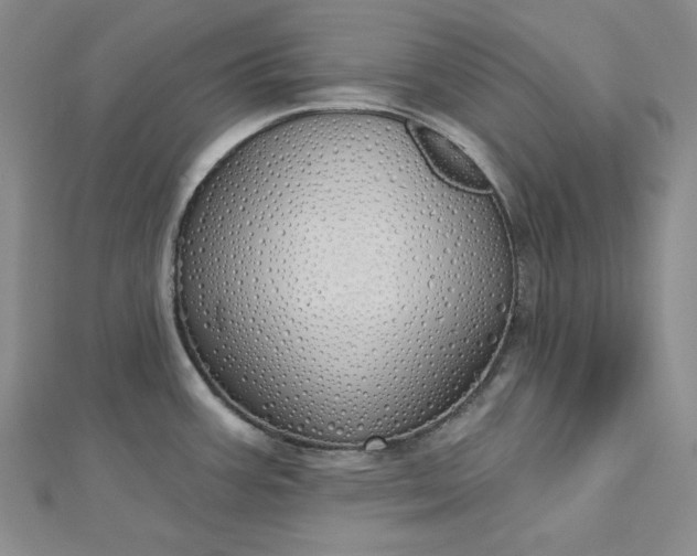 X0000112761387200909031538