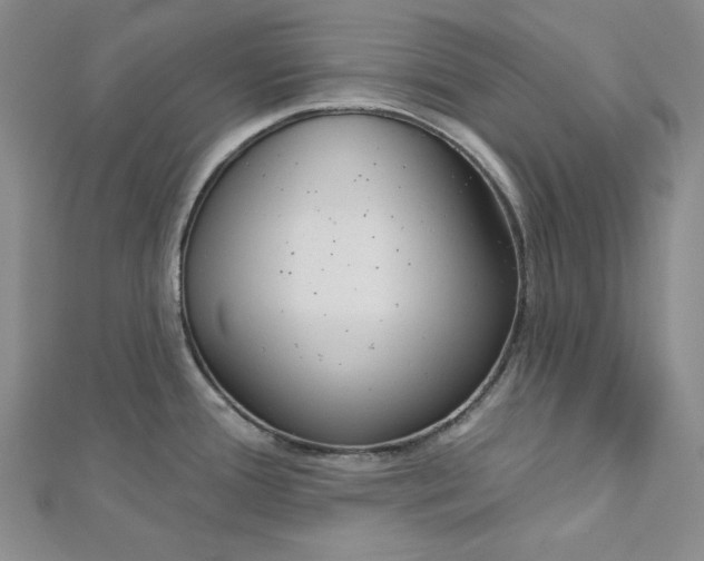 X0000112761388200909031538