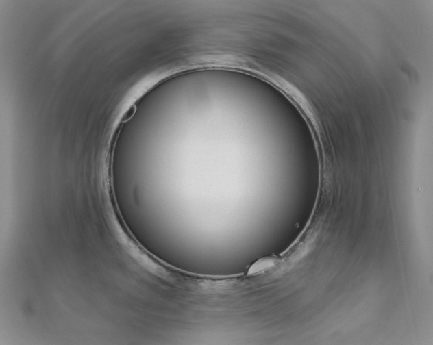 X0000112761389200909031538