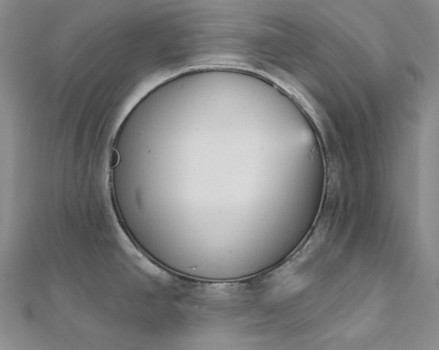 X0000112761390200909031538
