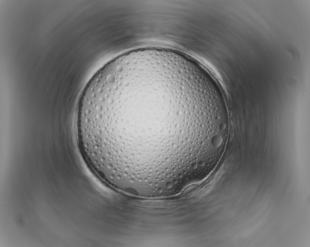 X0000112761391200909031538
