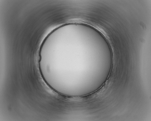 X0000112761392200909031538