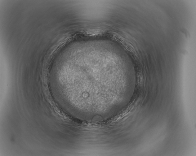 X0000112761393200909031538