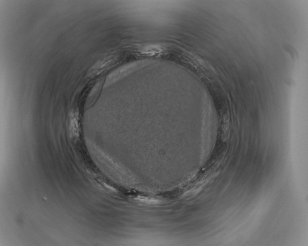 X0000112761394200909031538