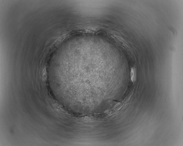 X0000112761395200909031538