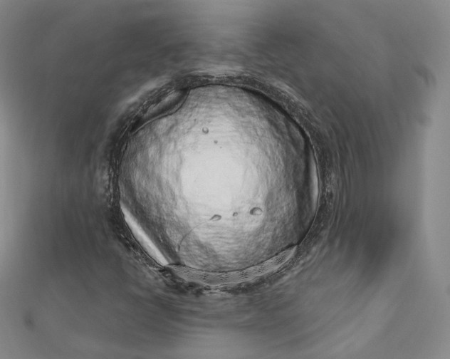 X0000112761398200909031538