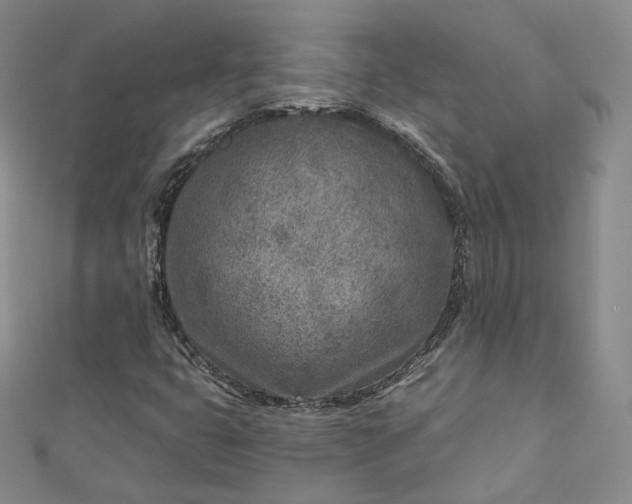 X0000112761399200909031538
